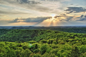 Windradmafia erobert den Pfälzerwald