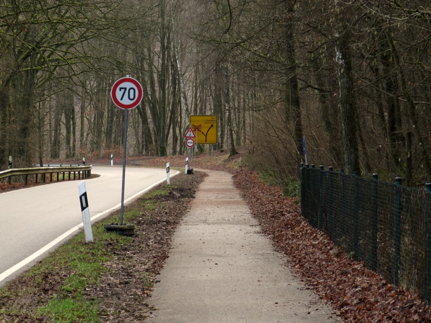 Gefällstrecke im Wald