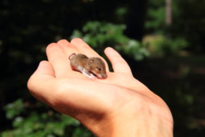 Alltagserlebnisse (Teil 125)