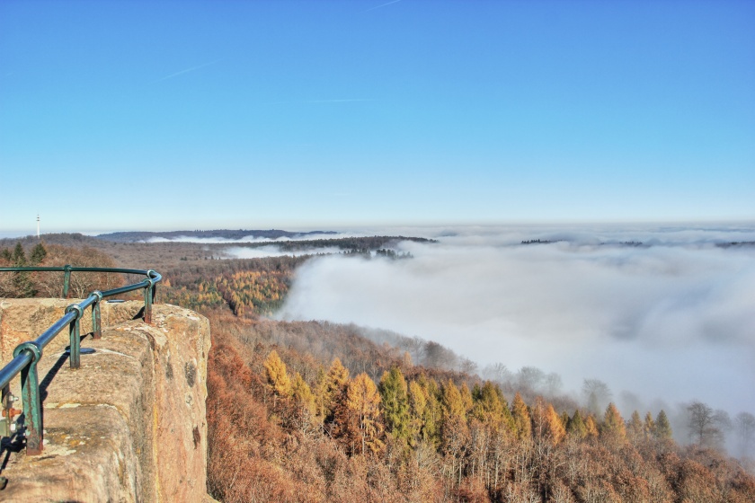 Am 12.11.21 auf dem Luitpoldturm