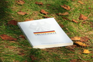 Coronoia: »Unsere Demokratie®™«