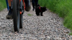 „Verkehrswende“ in der Provinz