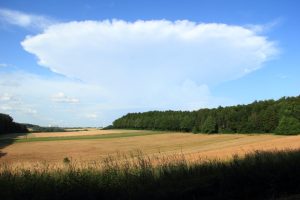 Gewitteramboss über der Vorderpfalz