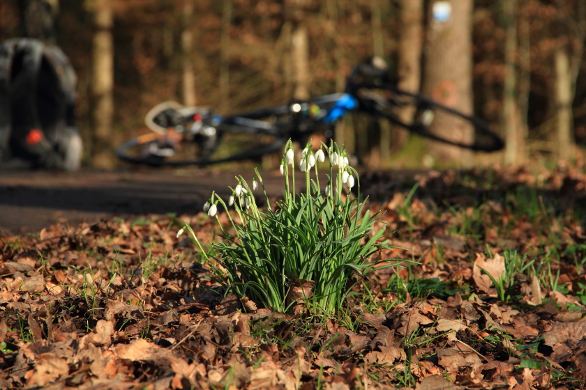 Unterwegs-Fotografie (Teil 7)