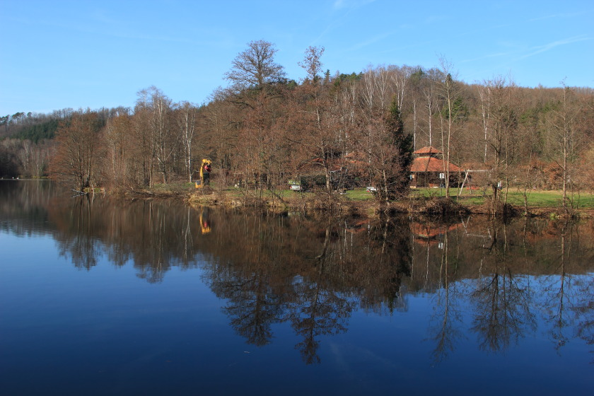 Entbuschung am Schöntalweiher