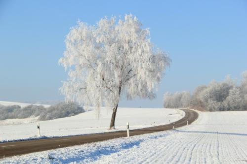 Wintermärchen